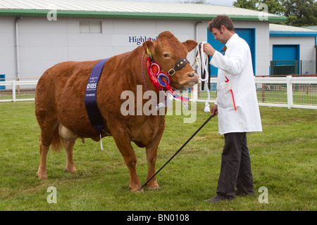 Premio bovini, premi animali, rosetta, nastro, concorso, simbolo, vincitore, mostra, testa, imbracatura, rosso, successo, badge, vinci, vincitore, Al grande Royal Highland Show 2010  Scottish Agricultural Society of Scotland, Edinburgh, UK Foto Stock