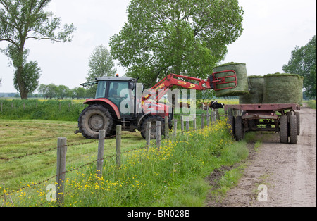 Il carico di balle di insilato dal campo su un rimorchio Foto Stock