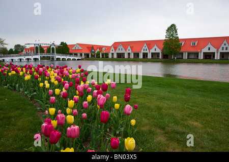 Tulip Time festival olandese Olanda Michigan negli Stati Uniti architettura tradizionale olandese e tulipani nessuno villaggio angolo basso nessuno orizzontale alta risoluzione Foto Stock