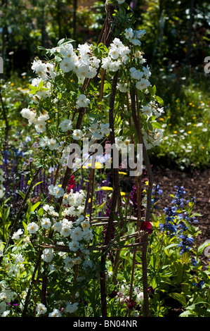 " Un assaggio di Greenacre' mostrano al giardino dei giardinieri del mondo Live 2010 presso il NEC di Birmingham Foto Stock
