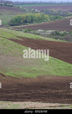 Agricola e semi-paesaggio selvaggio da nord la Bulgaria, Europa Foto Stock