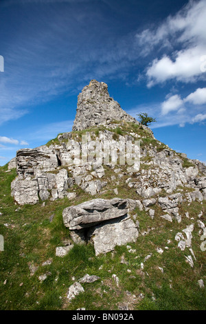 Formazione rocciosa conosciuta come Peters pietra Cressbrookdale nel Parco Nazionale di Peak District Derbyshire England Regno Unito Foto Stock