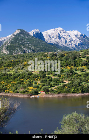 Fiume Cedrino e Monte Corrasi, Dorgali, Oliena, Nuoro, Sardegna, Italia, Europa Foto Stock