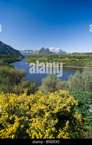 Fiume Cedrino e Monte Corrasi, Dorgali, Oliena, Nuoro, Sardegna, Italia, Europa Foto Stock