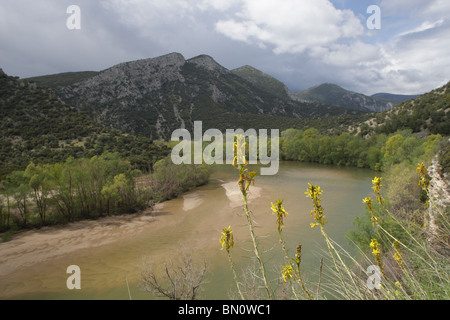 Fiume Nestos, area protetta 'Meanders del fiume Nestos', Grecia del Nord Foto Stock