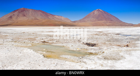 Laguna Verde (verde laguna), Altiplano Shallow Salt Lake, Potosi, Bolivia L Foto Stock