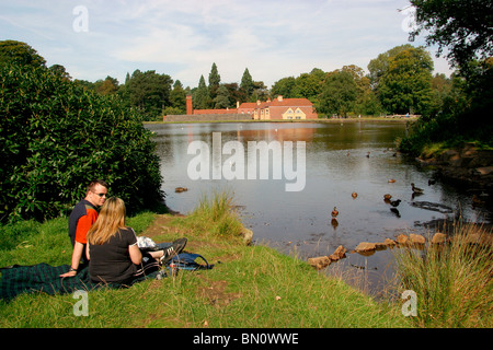 Inghilterra, Cheshire, Stockport, High Lane, Lyme Park, giovane sat nella luce del sole al lago Foto Stock