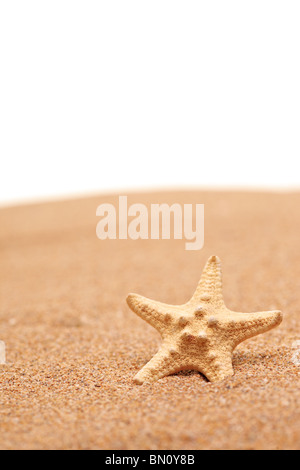 Una vista di una stella di mare su di una spiaggia di sabbia Foto Stock