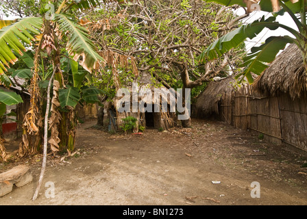 Alloggiamento tradizionali nella Comunità di Ustupu, Kuna Yala Foto Stock