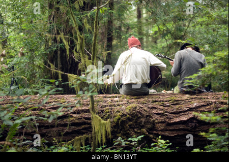 Camping musicisti suonare la chitarra e cantare una melodia in Redwoods Foto Stock