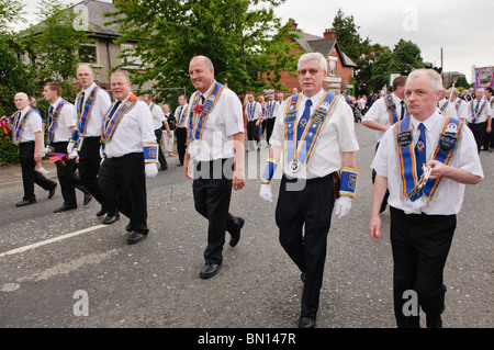 Il 25 giugno 2010, Newtownabbey. Distretto Cloughfern ordine arancione mantiene la sua 'Mini dodicesimo' parade. Foto Stock