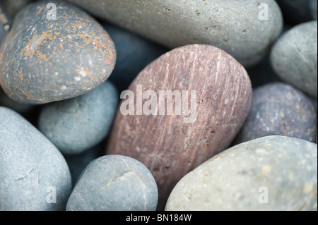 Primo piano di ciottoli sulla spiaggia nelle vicinanze Criccieth sul Lleyn Peninsula North Wales UK Foto Stock