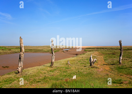 Paesaggio con vecchi post a bassa marea a Thornham, Norfolk, Inghilterra, Regno Unito. Foto Stock