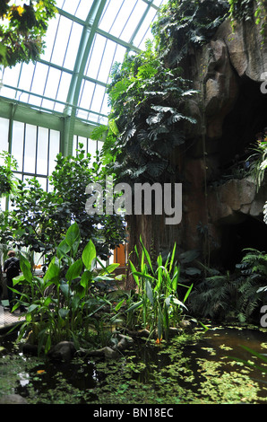 Jardin des Plantes, serra tropicale, Parigi, Francia Foto Stock