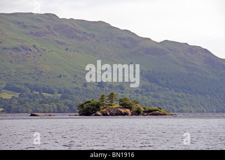 Piccola isola sul lago di Windermere, Cumbria, Inghilterra. Foto Stock