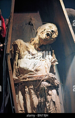 Le mummie' museo, Guanajuato, membro Guanajuato, Messico Foto Stock