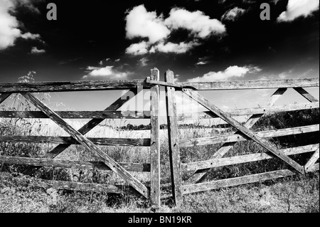 Vecchio cinque barre cancelli in legno davanti a un campo di orzo nella campagna inglese. Oxfordshire, Inghilterra. Monocromatico Foto Stock
