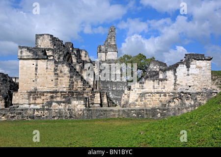 Acropoli centrale, le rovine maya di Tikal, vicino a Flores, Guatemala Foto Stock