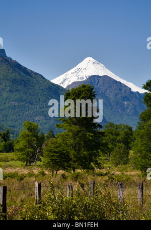 Vulcano Lanin, Cile/confine argentino, Villarrica National Park, cileno Distretto dei Laghi Foto Stock