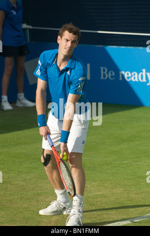 Andy Murray al Aegon Tennis Championship, Queen's Club di Londra, giugno 2010 Foto Stock