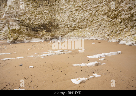 Chalk formazioni rocciose e bolders a Baia Selwicks Flamborough Head in East Yorkshire. Foto Stock