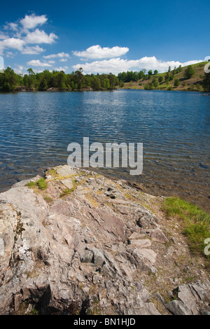 Visualizzazione classica del Tarn Howes su una giornata d'estate nel Lake District inglese. Foto Stock