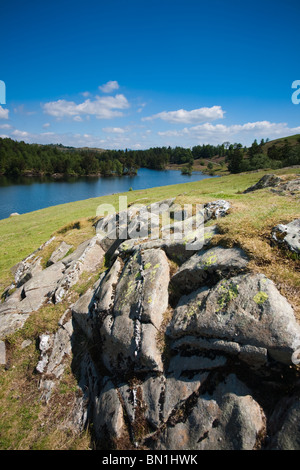 Visualizzazione classica del Tarn Howes su una giornata d'estate nel Lake District inglese. Foto Stock