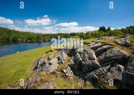 Visualizzazione classica del Tarn Howes su una giornata d'estate nel Lake District inglese. Foto Stock