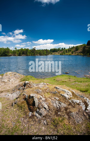 Visualizzazione classica del Tarn Howes su una giornata d'estate nel Lake District inglese. Foto Stock