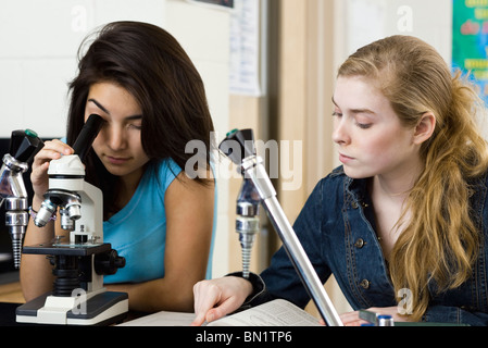 Compagni di classe di completare la scienza assegnazione classe insieme utilizzando il microscopio Foto Stock