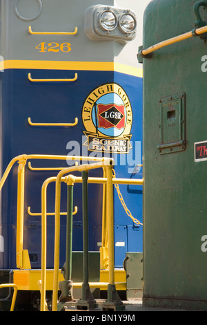 La Lehigh Gorge Scenic Railway, locomotiva diesel Foto Stock