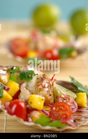 Scallop-Salad in un guscio con vari ortaggi, Smerlo ceviche, un popolare Latino Americana antipasto, vista in elevazione Foto Stock
