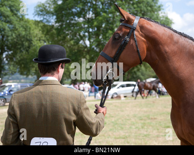 Show Jumping a Irish agricultural show, County Limerick Irlanda Foto Stock