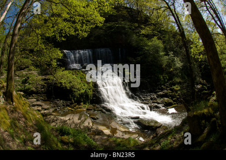 Sgwd Isaf Clun-gwyn, Afon Mellte, Ystradfellte, Parco Nazionale di Brecon Beacons, Powys, Wales, Regno Unito, Europa Foto Stock