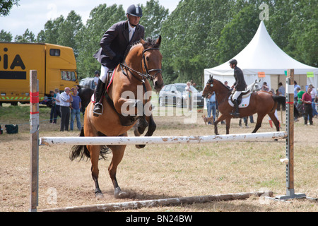 Show Jumping a Irish agricultural show, County Limerick Irlanda Foto Stock