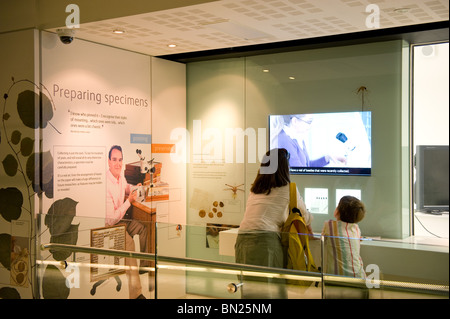 Le persone che ricercano visualizza entro il centro di Darwin cocoon nel Museo di Storia Naturale di Londra REGNO UNITO Foto Stock