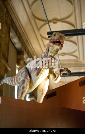 Animatronic o robotizzate modelli di dinosauro nel Museo di Storia Naturale di Londra REGNO UNITO Foto Stock