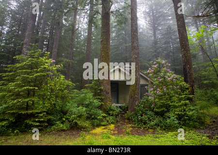 Una cabina nei boschi vicino al lago Odell in Oregon Cascade Mountains in una nebbiosa mattina. Foto Stock