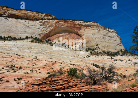 Arco cieco tagliato in Slick a formazione di roccia vicino all'ingresso est del Parco Nazionale di Zion, Utah Foto Stock