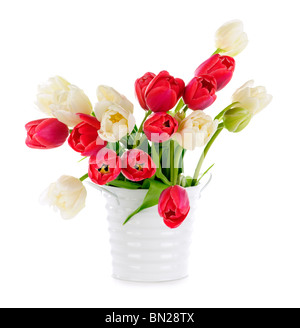 Bouquet di rosso e bianco tulipani isolati su sfondo bianco Foto Stock