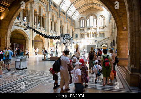 Diplodocus scheletro nell'atrio principale centrale del Museo di Storia Naturale e con le persone che visitano, London REGNO UNITO Foto Stock