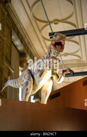 Animatronic o robotizzate modelli di dinosauro nel Museo di Storia Naturale di Londra REGNO UNITO Foto Stock