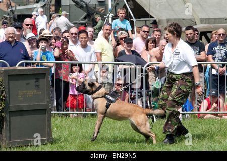 L'AMK9 display dog team Foto Stock