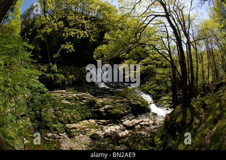 Sgwd Isaf Clun-gwyn, Afon Mellte, Ystradfellte, Parco Nazionale di Brecon Beacons, Powys, Wales, Regno Unito, Europa Foto Stock