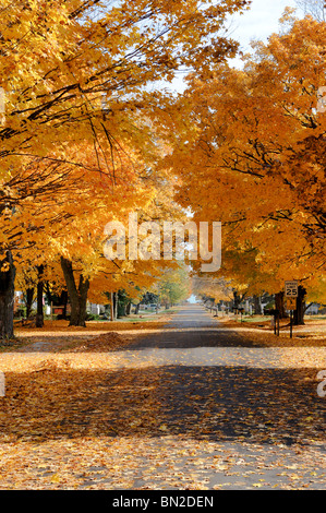 Autunno Autunno colori linea una vecchia strada residenziale in Lexington Michigan Foto Stock