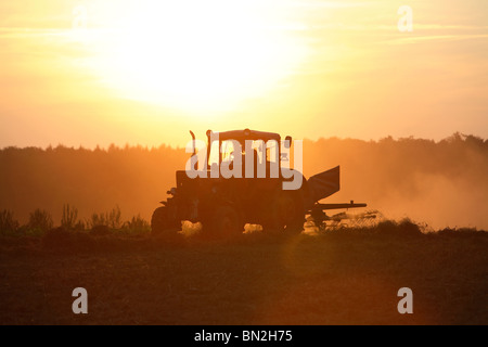 Il trattore gira il fieno su un campo al tramonto, Prangendorf, Germania Foto Stock