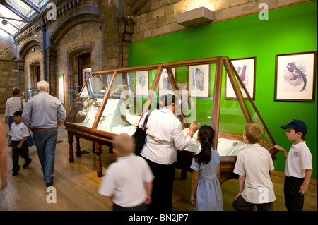 Scolari in gita scolastica guardando un caso visualizzare nel Museo di Storia Naturale di Londra Regno Unito 2010 Foto Stock