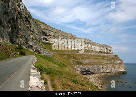 Marine Drive strada a pedaggio acceso attorno al promontorio del Great Orme, Llandudno, Galles Foto Stock