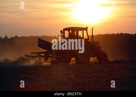 Il trattore gira il fieno su un campo al tramonto, Prangendorf, Germania Foto Stock