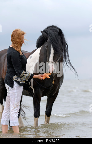 Donna con cavallo Foto Stock